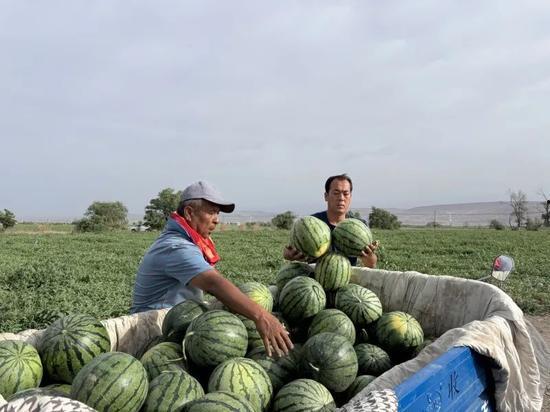 莱州吃瓜最新,揭秘当地特色美食背后的故事