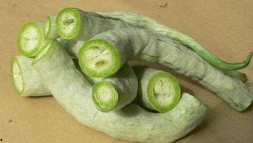 强子吃蛇瓜,勇闯蛇瓜秘境，探寻强子与蛇瓜的神秘传说