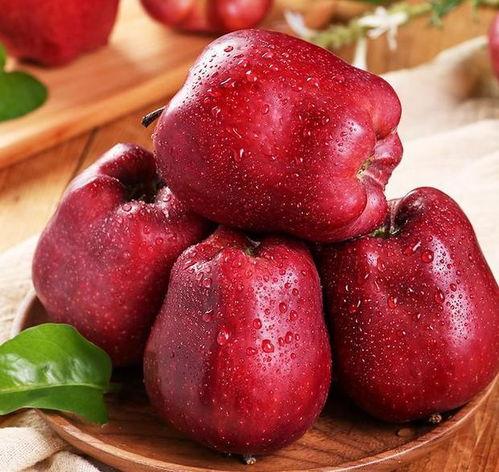 大宇治水吃瓜,吃瓜群众见证水利传奇