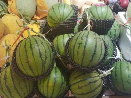 柘城的吃瓜,吃瓜文化背后的故事与魅力