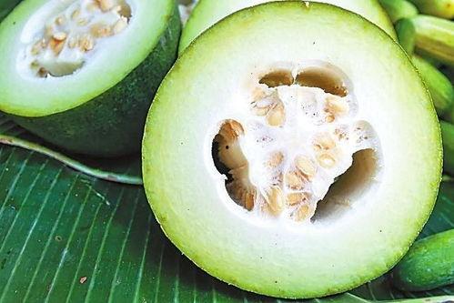 吃瓜安溪,吃瓜安溪，品味独特风味