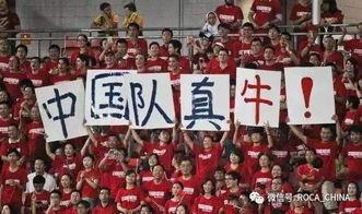 国足吃瓜群众,吃瓜群众视角下的激情与争议