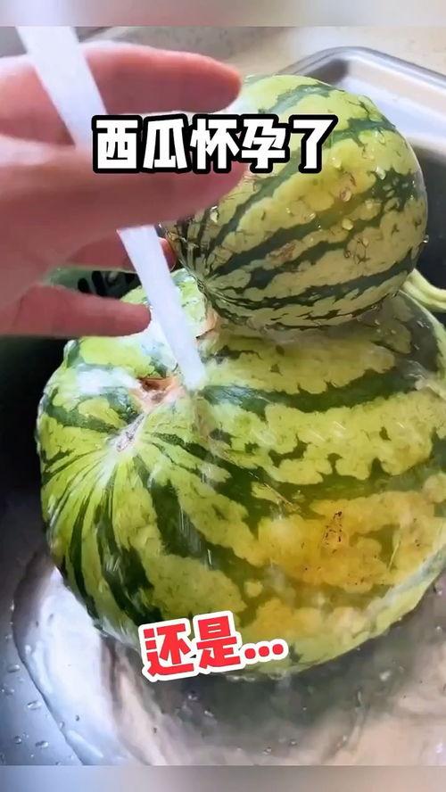 搞笑满级吃瓜视频,笑料横生！满级吃瓜达人带你领略搞笑视频盛宴