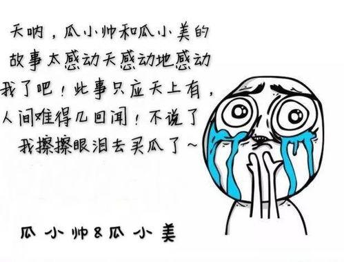 搭车聪吃瓜,揭秘旅途中的趣味故事与人间百态