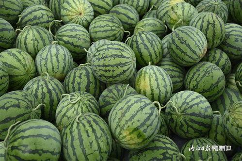 韩国吃瓜社,吃瓜社带你探秘幕后风云