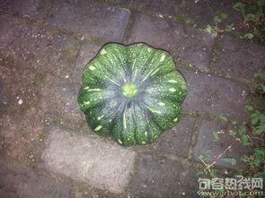 小瓜怎么吃啊,解锁美味新境界