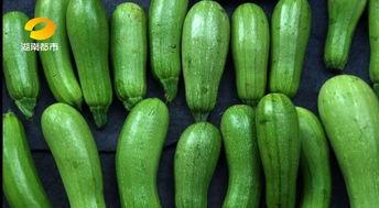 什么瓜不能种植熟了吃,种植与食用安全指南