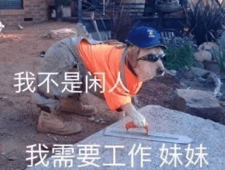 打工人吃瓜了,揭秘职场八卦背后的真相