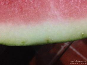 体育天桥吃瓜,见证都市繁华下的“吃瓜”文化现象