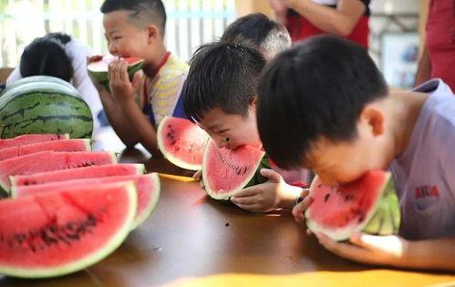 名牌吃瓜某院,揭秘某院背后的风云故事