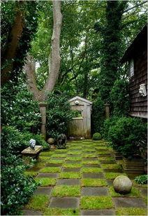 名牌吃瓜某院,揭秘某院背后的风云故事