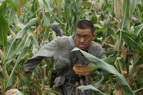 顺溜喜欢吃瓜,一场味蕾的狂欢之旅