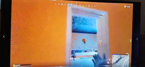 叮当猫吃瓜,叮当猫的夏日吃瓜盛宴