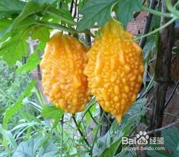 赖赖吃瓜,揭秘娱乐圈那些不为人知的幕后故事