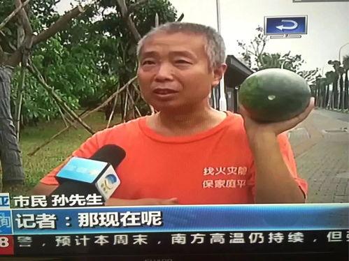 今日吃瓜事件新闻,吃瓜群众聚焦最新吃瓜事件，揭秘幕后真相