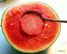 火漆吃瓜群,揭秘网络社交圈的趣味与争议