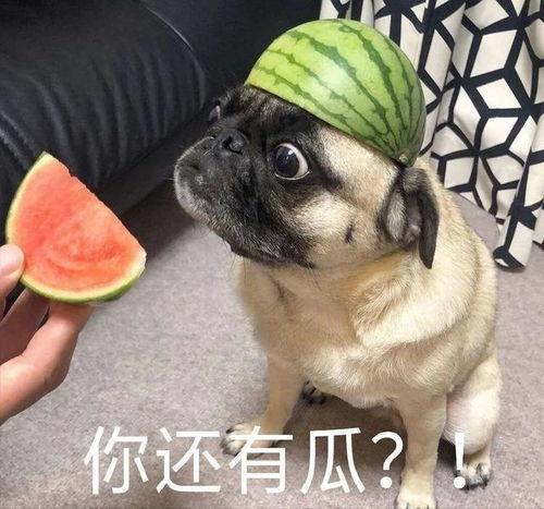 最新吃瓜事件抖音,最新吃瓜事件，揭秘幕后真相！”