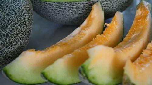 老曹带你吃瓜,老曹带你领略美食界的“瓜田”奇遇