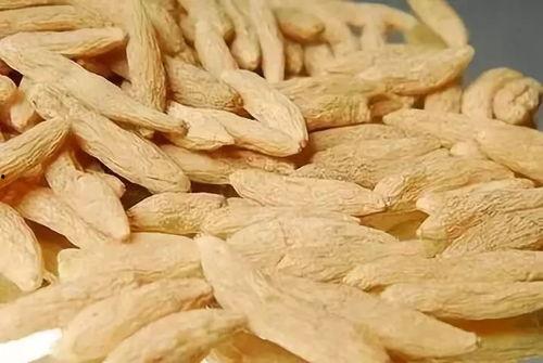 麦冬的爸爸吃瓜,麦冬爸爸的瓜田奇遇记