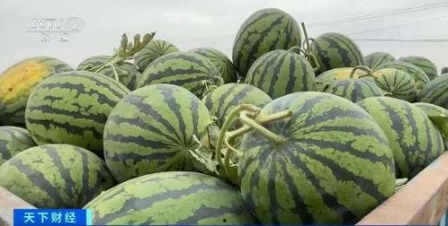 nmixx塔罗吃瓜,揭秘偶像组合背后的神秘面纱