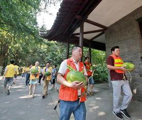 麻栗坡吃瓜群众