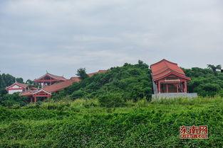 近距离吃瓜晋江,揭秘晋江网络文学圈的幕后风云