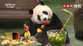 近距离吃瓜晋江,揭秘晋江网络文学圈的幕后风云