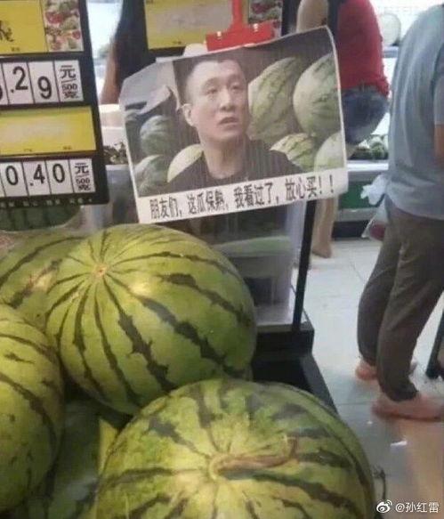 吃瓜卖瓜头像图片大全,吃瓜卖瓜头像图片大全精选
