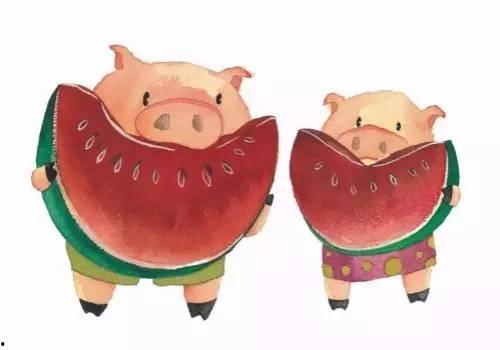 文在寅吃瓜猪吃的,一场意外的美食之旅