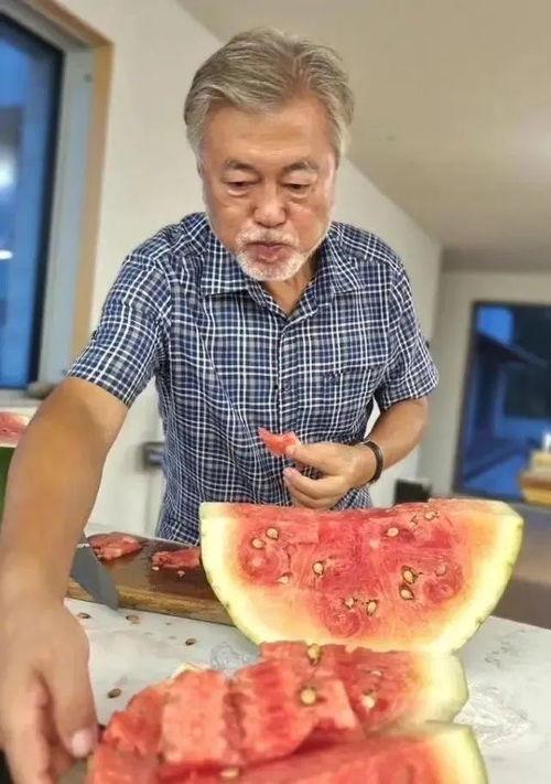 文在寅吃瓜猪吃的,一场意外的美食之旅