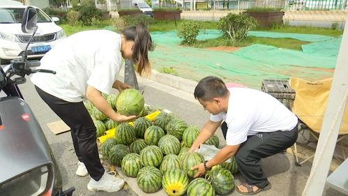 吃瓜200元,揭秘瓜市背后的秘密与惊喜