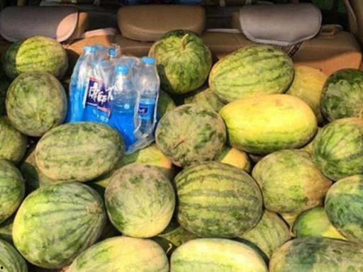 吃瓜200元,揭秘瓜市背后的秘密与惊喜