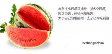 鑫禧禾吃瓜,揭秘娱乐圈背后的那些事儿