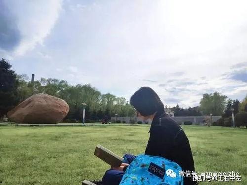 吃瓜的岱,一场网络热词背后的文化现象