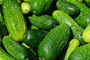 梦见长瓜切块吃,瓜果飘香，切块品尝的奇幻之旅