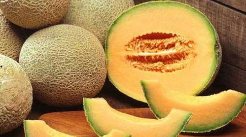 铁蛋白高可吃哈密瓜吗,哈密瓜能吃吗？营养师为你解答