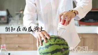 超萌的吃瓜群众,揭秘娱乐圈幕后趣闻