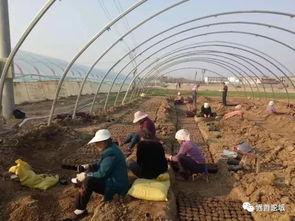 界首吃瓜,揭秘当地特色美食背后的故事