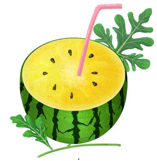 人类高质量吃瓜,品味生活，畅享瓜界盛宴