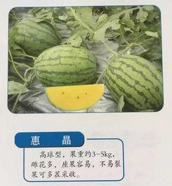 成语吃瓜摘桃,品味“吃瓜摘桃”的智慧人生