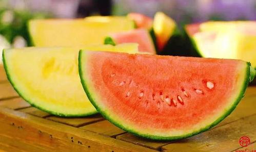 吃瓜落还是吃瓜落