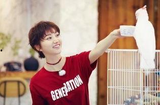 吃瓜考古王源,吃瓜考古背后的青春偶像成长记