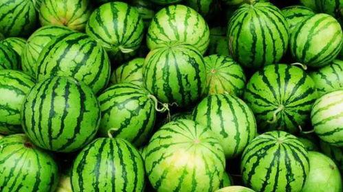 吃瓜多的工作,揭秘网络舆论场中的“吃瓜”现象