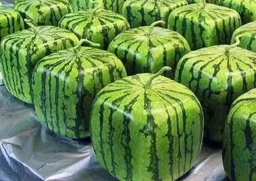 吃瓜多的工作,揭秘网络舆论场中的“吃瓜”现象