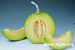 周公解梦摘蒲瓜吃,摘蒲瓜食的吉凶预兆解析