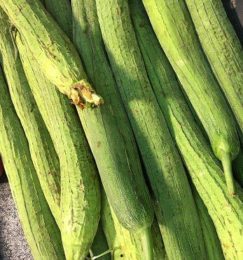 根瓜怎么调着吃,解锁健康美味新食尚