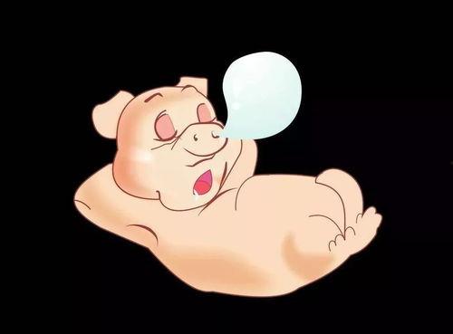 猪吃瓜直播,趣味横生的网络直播盛宴