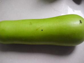 兔子吃葫芦瓜好吗,兔子适宜食用葫芦瓜吗？营养分析及食用建议