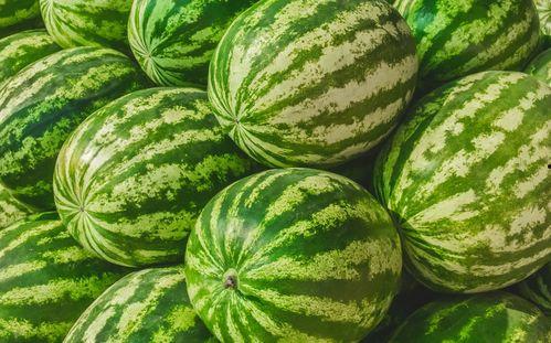 找别人瓜吃,从“找别人瓜吃”看社交心理