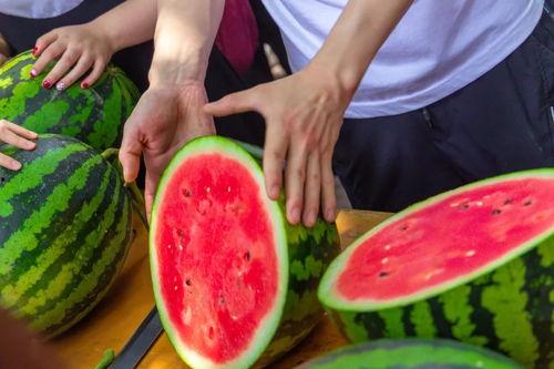 武汉高校吃瓜群,校园热点一网打尽，青春记忆里的欢声笑语